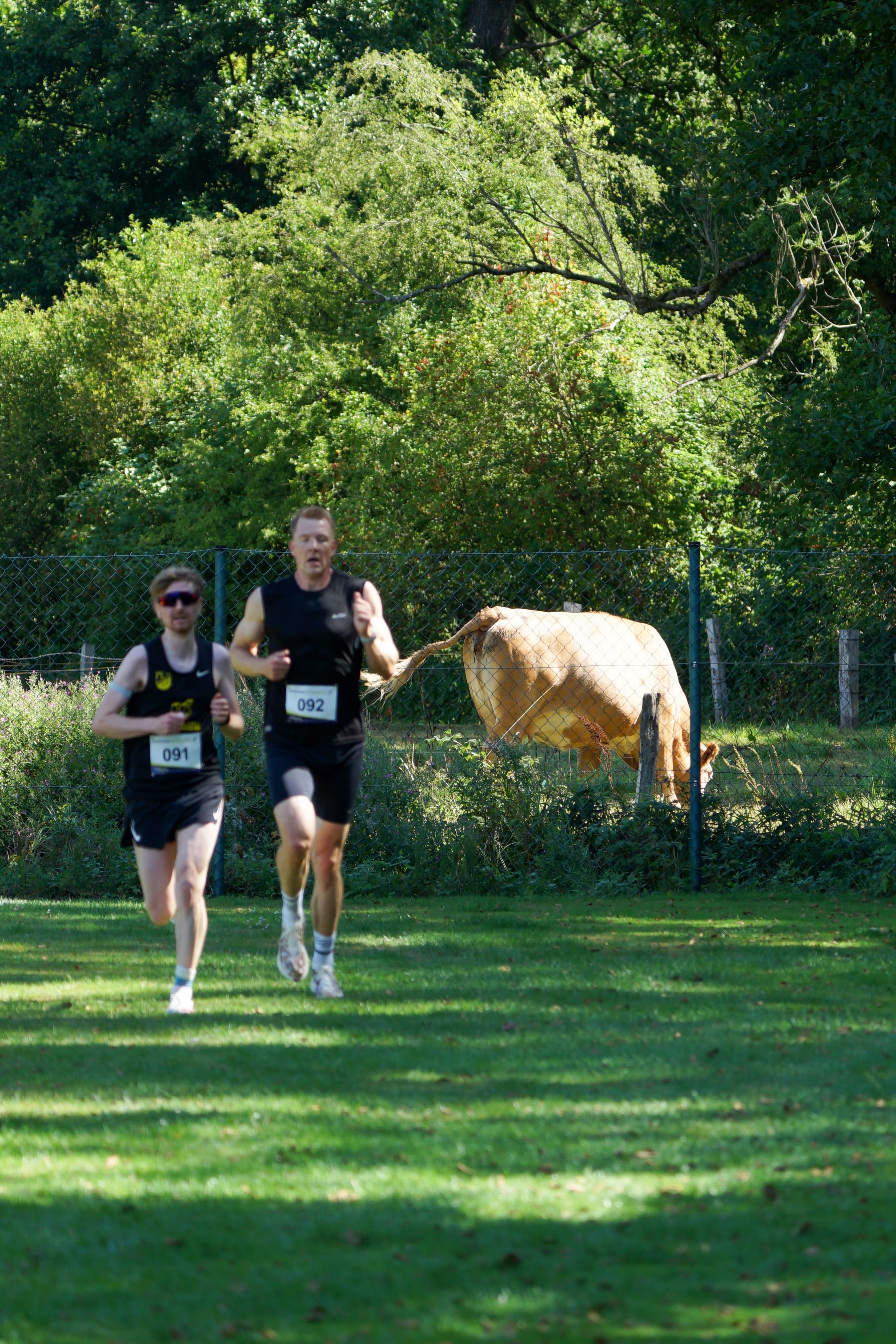 Stellichter Straßenlauf 2026 – Bild 99